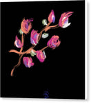 Fuchsia - Canvas Print