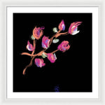 Fuchsia - Framed Print