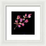 Fuchsia - Framed Print