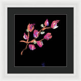 Fuchsia - Framed Print