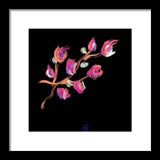 Fuchsia - Framed Print