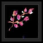 Fuchsia - Framed Print