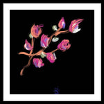 Fuchsia - Framed Print