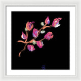 Fuchsia - Framed Print