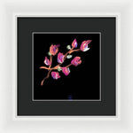 Fuchsia - Framed Print