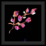 Fuchsia - Framed Print