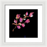 Fuchsia - Framed Print