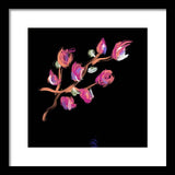 Fuchsia - Framed Print