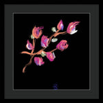 Fuchsia - Framed Print