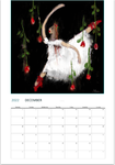 Color By Fire 2022 Wall Calendar - Art by Amanda Burr