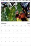 NEW Color By Fire 2022 Wall Calendar - Art by Amanda Burr