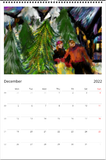 NEW Color By Fire 2022 Wall Calendar - Art by Amanda Burr