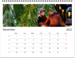 NEW Color By Fire 2022 Wall Calendar Deluxe - Art by Amanda Burr