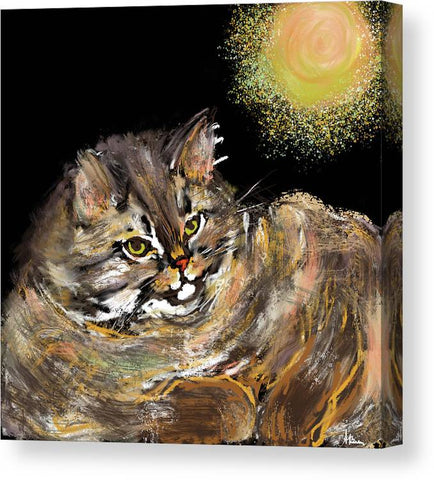 Sun Cat - Canvas Print