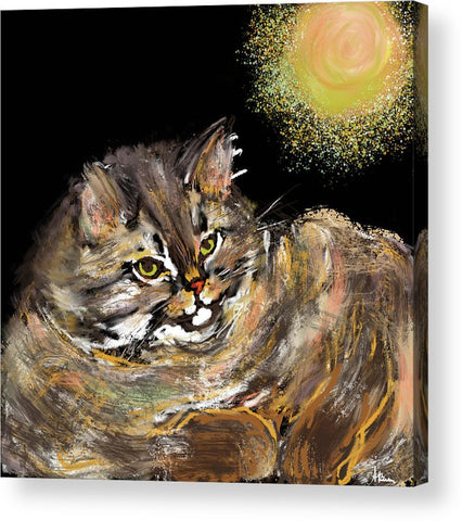 Sun Cat - Acrylic Print